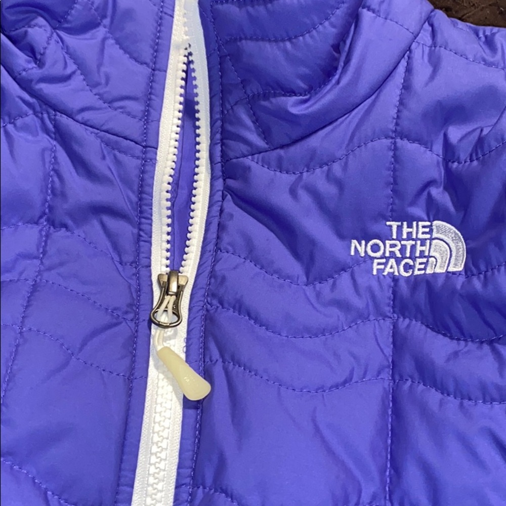 North Face Purple Jacket